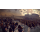 PC Total War: Rome 2 - Enemy at the Gates Edition - 540880 - zdjęcie 4